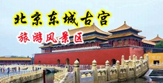 把鸡巴插在乱伦无码视频中国北京-东城古宫旅游风景区